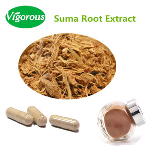 Wateroplosbaar 4:1 Braziliaanse Ginseng <span class=keywords><strong>Suma</strong></span> Wortel <span class=keywords><strong>Extract</strong></span> Poeder - Product Image 2