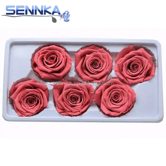 Materiales de arreglo de flores rosas reales en conserva, 5-6 cm, venta al por mayor para el día de san valentín