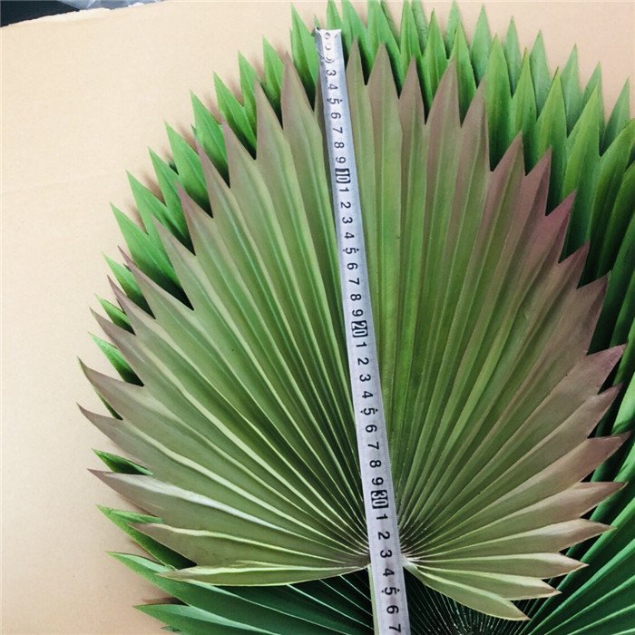 33cm