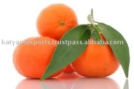 Aceite Esencial de mandarina fresco, aceite esencial 100% puro y Natural para una piel radiante a buen precio - Product Image 4