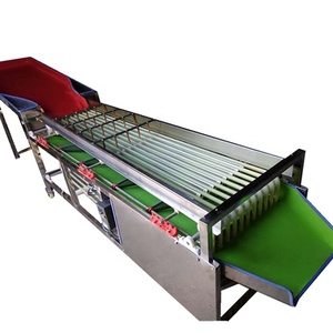 <span class=keywords><strong>Pas</strong></span> <span class=keywords><strong>cher</strong></span> Prix Automatique Équipment De Traitement De fruits Cueillette Machine de Classement - Product Image 3