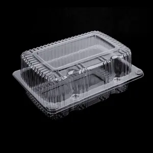 Takeaway transparent plastic packaging disposable biodegradable food container
