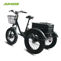 Mira 2021 bicicleta elétrica de 3 rodas, bicicleta de carga adulta com cesta