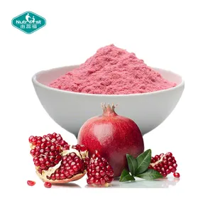 Fruit Extract Professional Manufacturer 100% Pure Frozen-Dry Pomegranate Fruit Juice Instant Drink Powder
