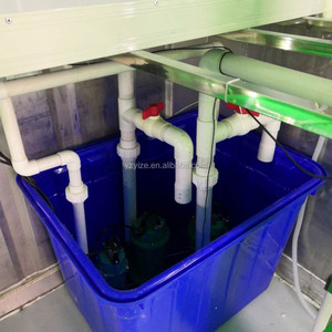 Bac à semis hydroponique pour haricots, machine hydroponique pour semis de riz, grefftes de fruits, plateau de semis - Product Image 3