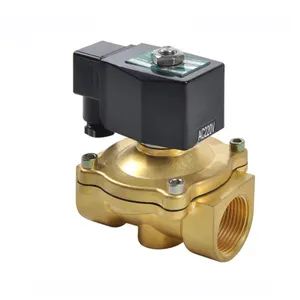 Hot Bán DN15 1/2 Inch 2 Cách 12VDC Thường Đóng Brass Solenoid Nước Van