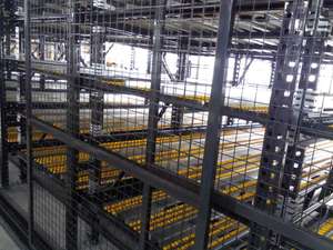 Maxrac-sistema de estanterías de almacenamiento en vivo, dynamic carton, con estantería de larga duración de carga media - Product Image 6