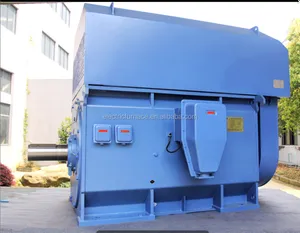 Synchronous Export Gansu Lanzhou Synchronous High Voltage 3 Phase AC Motor