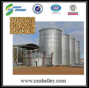 le <span class=keywords><strong>son</strong></span> de <span class=keywords><strong>blé</strong></span> 10000 ton grain silo de stockage - Product Image 1