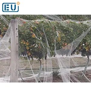 invisible bird netting,agricultural bird netting,swallow bird nest