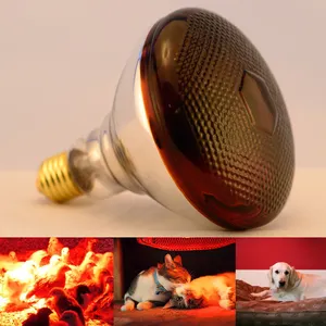 NO.1 SALE 250W PAR38 Infrarot-Wärme lampe für Tiere