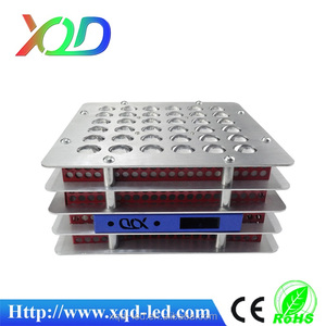 Shenzhen XQD 72 W <span class=keywords><strong>casa</strong></span> verde 3gp rey llevado crece la luz - Product Image 5