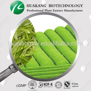 100% <span class=keywords><strong>extracto</strong></span> de té <span class=keywords><strong>verde</strong></span> Natural / <span class=keywords><strong>extracto</strong></span> de té <span class=keywords><strong>verde</strong></span> proveedor - Product Image 2