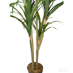 Alibaba China Supplier Garden Decorative <strong>Plant</strong> Artificial <strong>Plant</strong> Tropicial Dracaena