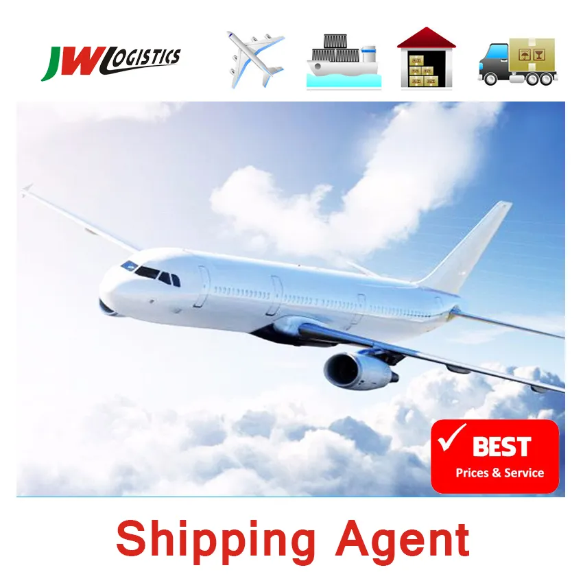 Fcl Cost Express Saver Tracking Freight Shipping Customs Clearance Inspection Agent From China to Gambia/Mali Fedex To India
