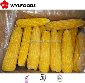 Высококачественные хлопья IQF <span class=keywords><strong>Corn</strong></span> по выгодной цене от New corp - Product Image 5