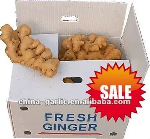 Fresh Ginger 10kg/carton , shandong crop, have store, hot sale