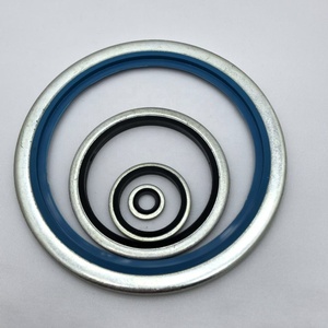 Standaard Bsp Self-Instelling Bonded Seal Composiet Pakking Voor Lijm Afdichten Van Verschillende Buisleidingen Gemaakt In China - Product Image 2