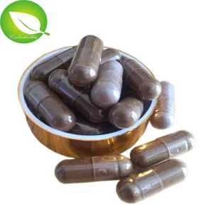 Kapsul Herbal Bubuk Ganoderma Lucidum, Kapsul Herbal Suplemen Reishi Merah 500Mg Sistem Kekebalan Tubuh Kualitas Terbaik