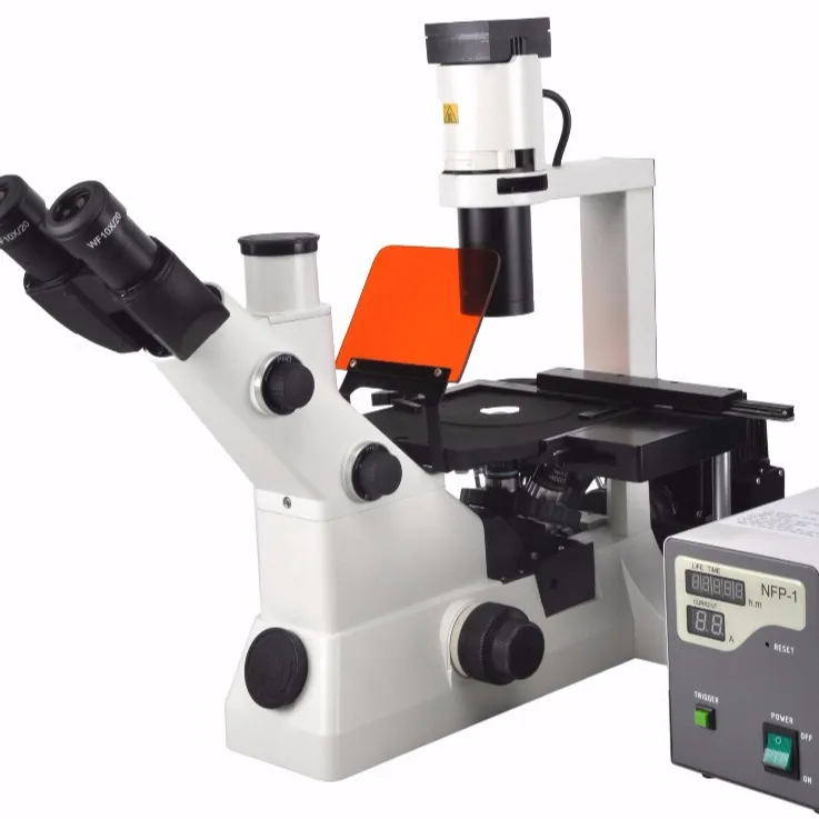 Bestscope BS-7020 Iinverted Laboratorium Fluorescerende Microscoop Voor De Observatie Van Celkweek