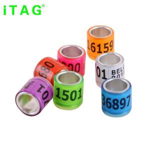 Duif Ring Factory Prijs België Duif Ring Voor Duif Info - Product Image 1