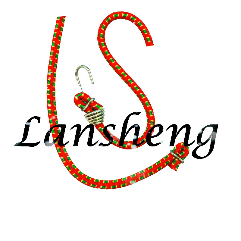 Zhangjiagang City Lansheng Trading Co., Ltd. logo