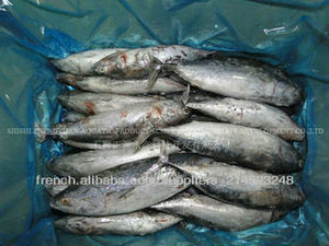 Skipjack frozen frozen fish - Product Image 1