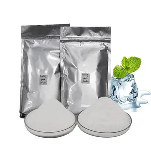 Cooling Agent Powder Factory Price Mint Flavor Cooling Agent Powder WS-23