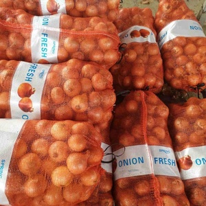 Nhà Cung Cấp Hành Tươi Tự Nhiên Cây Trồng Mới Của Trung Quốc Giá Thấp, Chất Lượng Cao - Product Image 5