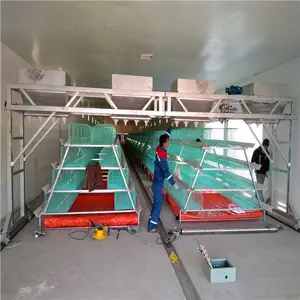 Cage de poulet pliable à structure métallique, convient au bangladesh, prix bas, 2020