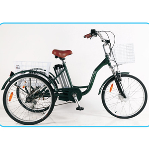Cerrado eléctrica china eléctricos del triciclo eléctrico ancianos triciclo pedal ayudar triciclo eléctrico de alta velocidad triciclo eléctrico - Product Image 2