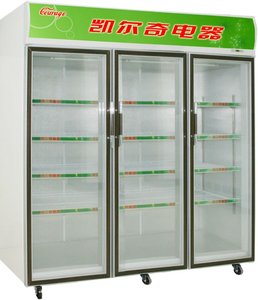 Réfrigérateur vertical pour boissons de camping-car extérieur à <span class=keywords><strong>double</strong></span> <span class=keywords><strong>porte</strong></span> coulissante solaire/électrique 600L - Product Image 3