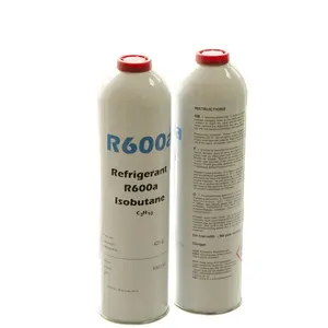 空 2 件马口铁可以气雾罐与点 SP 标准为 R600a 气体