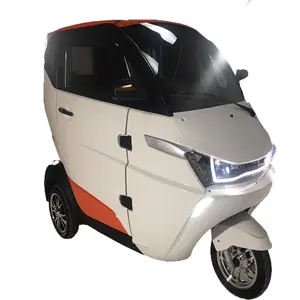 Runhorse-J1 EV Smart 3 Roda Mobil Listrik dengan EC EEC untuk Pasar Eropa