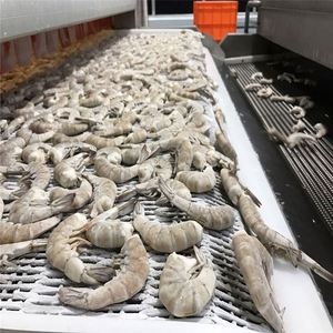 Años de experiencia bien recibido alimentos congelados blanco gambas - Product Image 2
