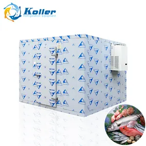 industrial mini cold store/refrigerator storage room walk in freezer room for fish preservation