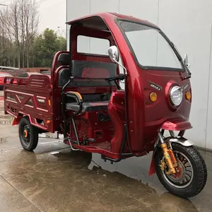 Cargo Ba Bánh Sử Dụng Kinh Doanh Bao Phủ Cabin Nặng Tải Ba Bánh Mini Thân Cây Hành Khách