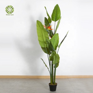 En çok satan çevre dostu 180 cm yapay cennet kuşu simülasyon striliyzia fabrika doğrudan tedarik - Product Image 2