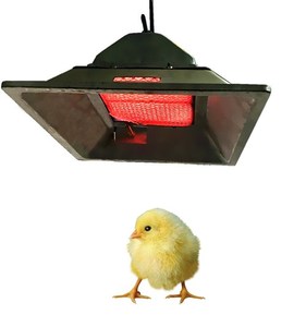 省エネ機能付き養豚・養鶏用赤外線ガス育雛器THD2608（売れ筋家禽農場設備） - Product Image 2