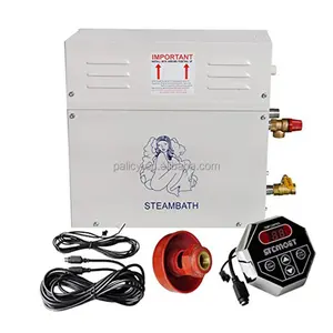 Home use wet steam factory produce mini steam generator