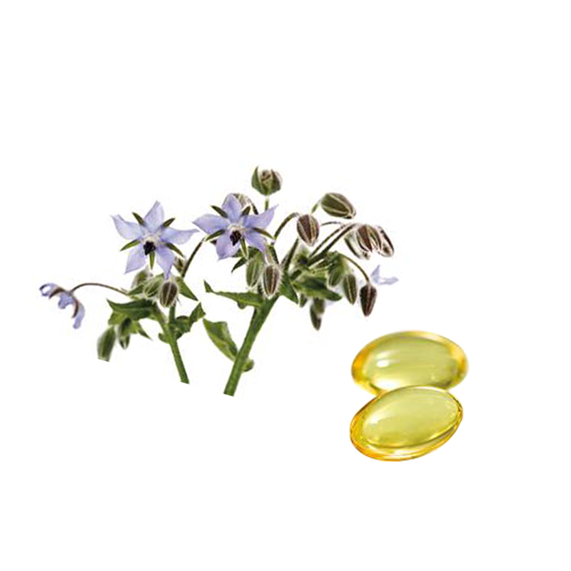 Масло Borage Softgel OEM