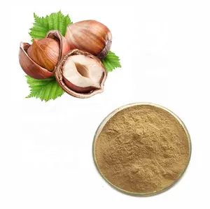 Bulk Instant Hazelnut Powder for Coffee Additives