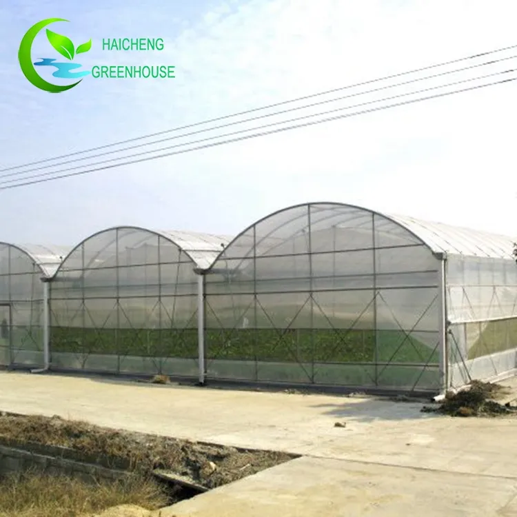 Más asequible de túnel de plástico de semillas de casa verde