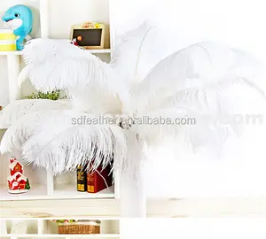 bulk ostrich feathers for wedding decoration 70-75cm feathers Wedding Party Supplies