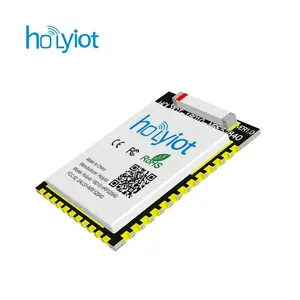 Holyiot 장거리 nRF52840 칩셋 BLE 모듈 세라믹 안테나 BT 낮은 에너지 BLE 메쉬 모듈