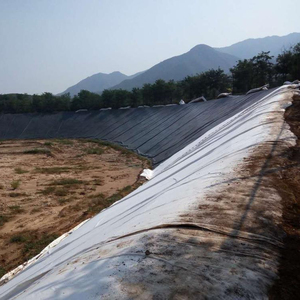 Vải Địa Kỹ Thuật Không Dệt Pp Pet Ngắn Sợi Vải Địa Kỹ Thuật Không Dệt Vải Địa Kỹ Thuật - Product Image 5