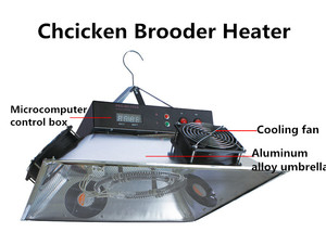 Chauffe-22 automatique pour poulet, vente, de haute qualité - Product Image 6