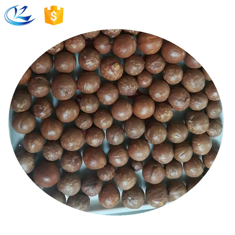 Лучшая новинка, орехи макадамии, гавайская цена