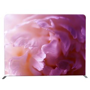Cadre en aluminium <span class=keywords><strong>pliable</strong></span> Portable Backwall Backdrop Photographie <span class=keywords><strong>Studio</strong></span> Background - Product Image 2