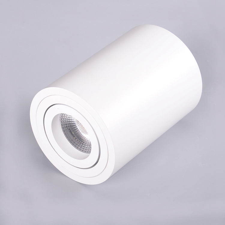 CRI90 92mm Dimmable LED Downlights 10 Wattage For Meeting Room